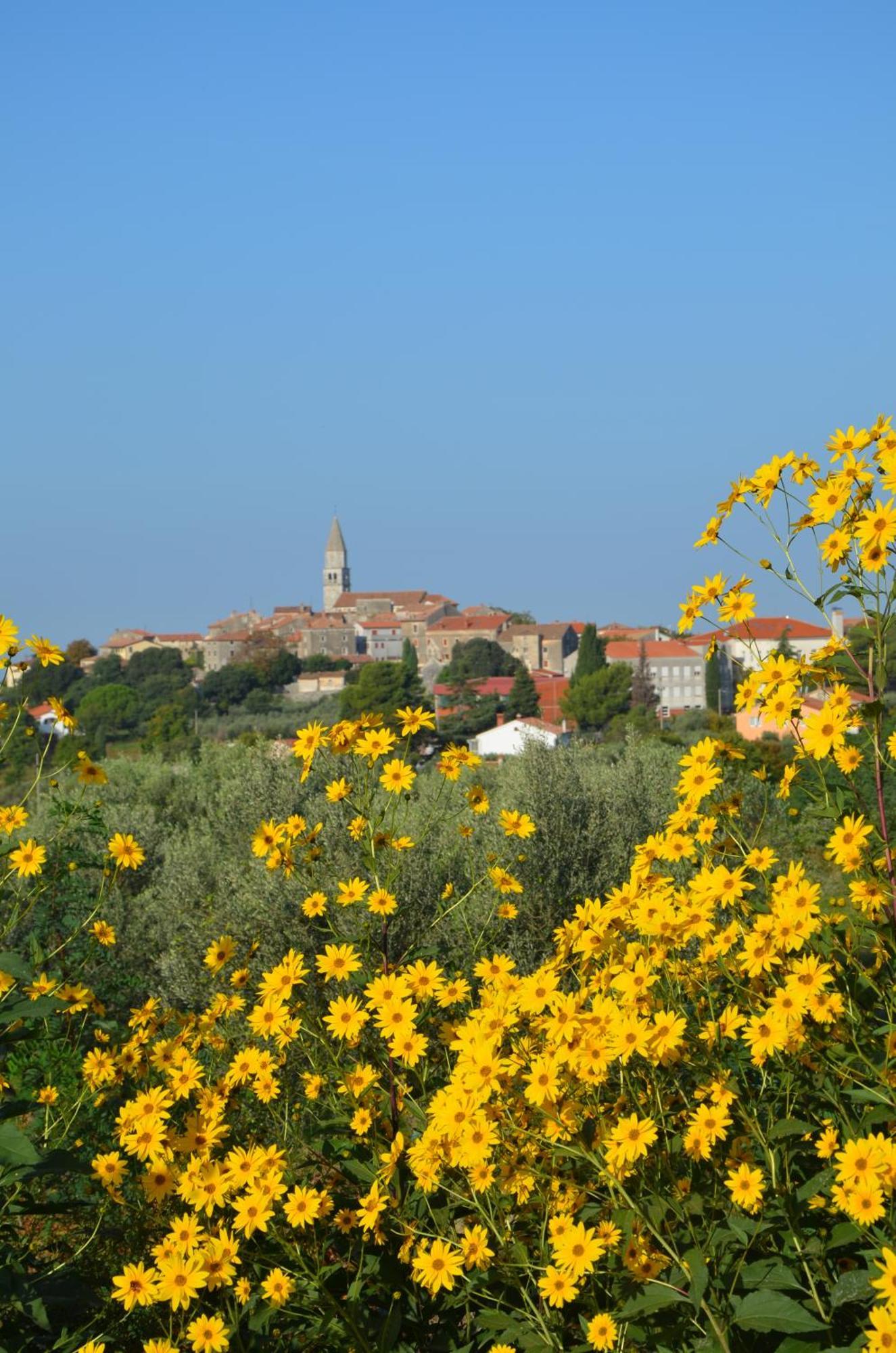 Villa Leopoldo By Istrian Country Houses Barat  Exterior foto